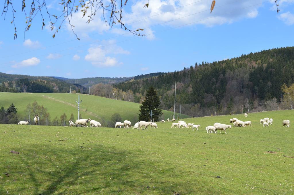 Chata Nova Seninka Staré Město Exteriör bild